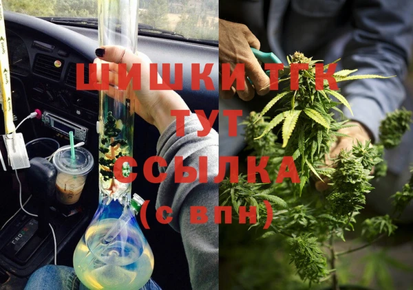амф Алексин