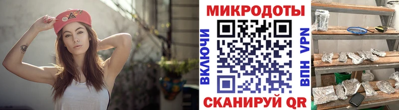 Галлюциногенные грибы Psilocybine cubensis Тутаев